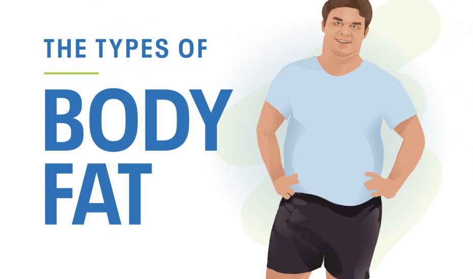 肚子，臀部，大腿：你的身体脂肪是重要的