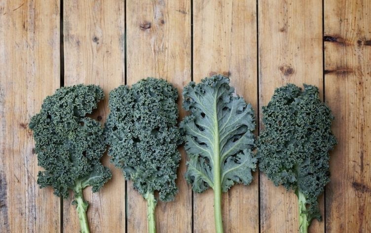 Healthy Bites: It’s National Kale Day! (Celebrate with these 5 Tasty Dishes!)