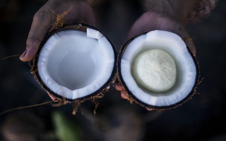 椰子油真的是传说中的那样吗?