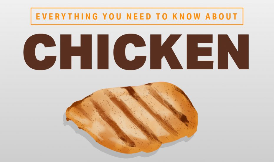 关于鸡肉你需要知道的一切