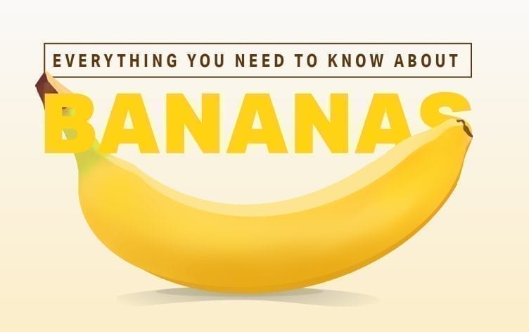 您需要了解的有关香蕉的一切