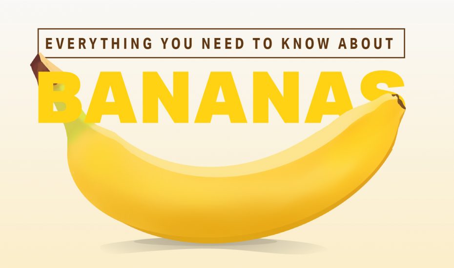 你需要了解的一切关于香蕉