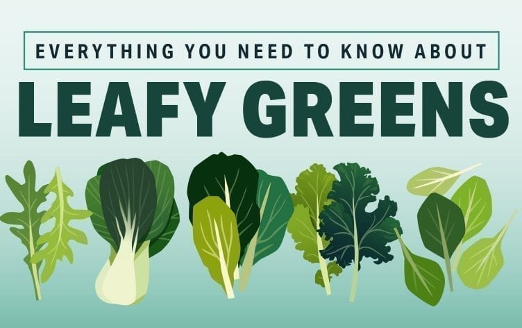 关于绿叶蔬菜你需要知道的一切