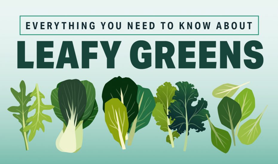 关于绿叶蔬菜，您需要了解的一切