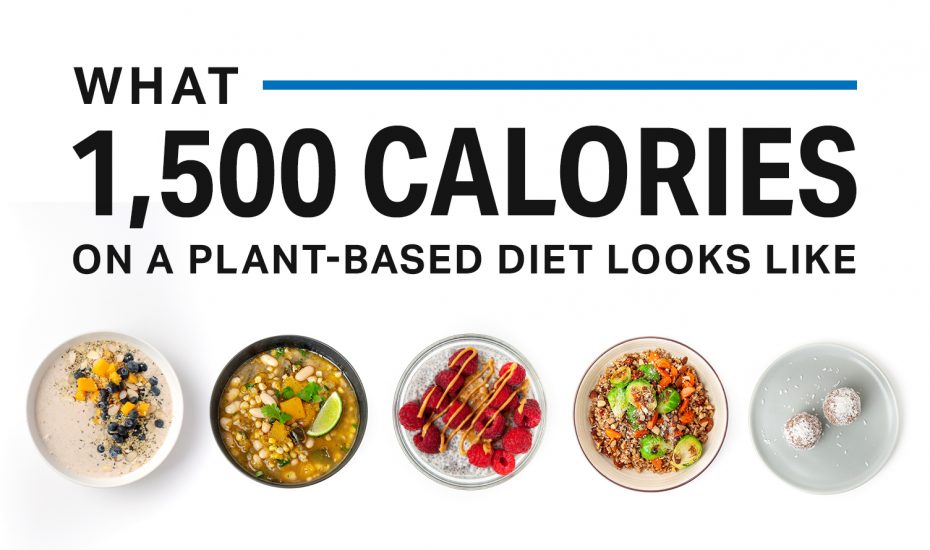 1500卡路里的植物性饮食看起来像什么