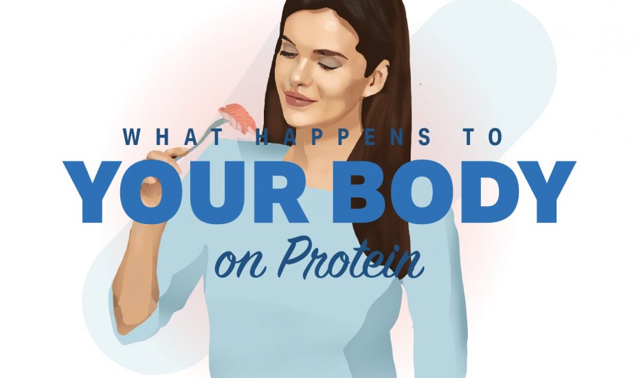 您的身体在蛋白质上发生了什么